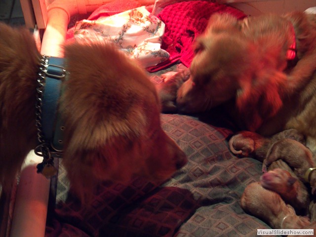 2011-11-12_06-50-34_555