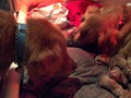 2011-11-12_06-50-34_555