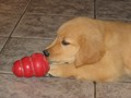 IMG_1137