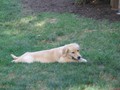 IMG_1157