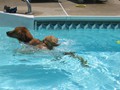 IMG_1222