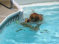 IMG_1223