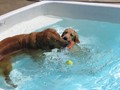 IMG_1225