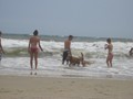IMG_1257
