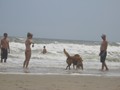 IMG_1259