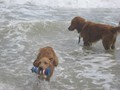 IMG_1261