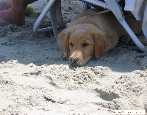 Riley at the OBX