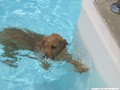 img_0459