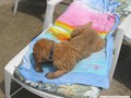 img_0460