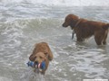 img_1261